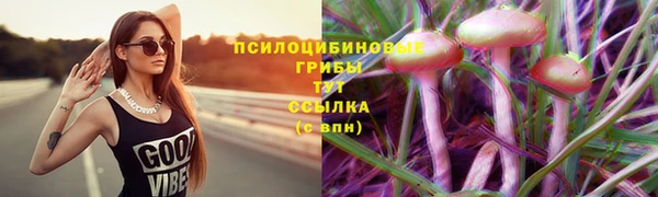 молекула духа Зеленодольск