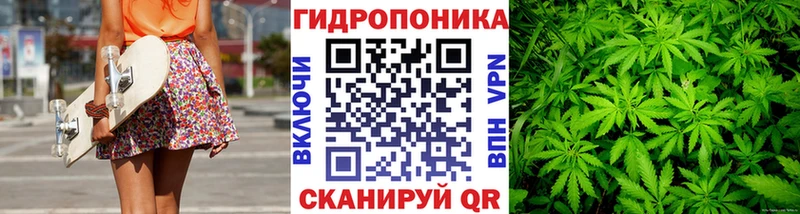 Купить закладки  Салават  Шишки марихуана SATIVA & INDICA 